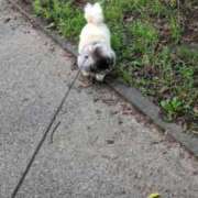 ヒメ日記 2025/07/15 06:29 投稿 ともえ 鶯谷おかあさん