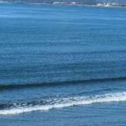 ヒメ日記 2025/07/21 20:59 投稿 ともえ 鶯谷おかあさん