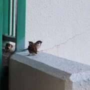 ヒメ日記 2025/08/02 06:19 投稿 ともえ 鶯谷おかあさん