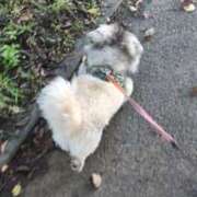 ヒメ日記 2025/08/03 06:19 投稿 ともえ 鶯谷おかあさん