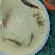 ヒメ日記 2025/08/17 15:39 投稿 ともえ 鶯谷おかあさん