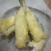 ヒメ日記 2025/08/17 20:09 投稿 ともえ 鶯谷おかあさん