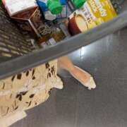 ヒメ日記 2025/08/23 21:32 投稿 ともえ 鶯谷おかあさん