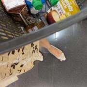 ヒメ日記 2025/08/23 21:49 投稿 ともえ 鶯谷おかあさん