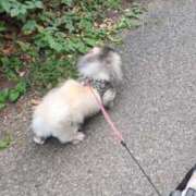 ヒメ日記 2025/08/25 06:29 投稿 ともえ 鶯谷おかあさん