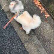 ヒメ日記 2025/09/12 06:19 投稿 ともえ 鶯谷おかあさん