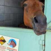 ヒメ日記 2025/09/25 14:39 投稿 ともえ 鶯谷おかあさん