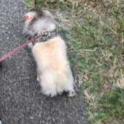 ヒメ日記 2025/09/30 06:29 投稿 ともえ 鶯谷おかあさん