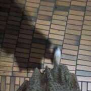 ヒメ日記 2025/10/08 19:29 投稿 ともえ 鶯谷おかあさん