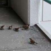 ヒメ日記 2025/10/11 06:49 投稿 ともえ 鶯谷おかあさん