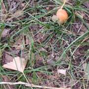 ヒメ日記 2025/10/13 11:49 投稿 ともえ 鶯谷おかあさん