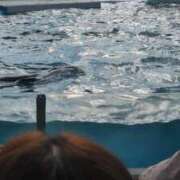 ヒメ日記 2025/10/28 21:39 投稿 ともえ 鶯谷おかあさん