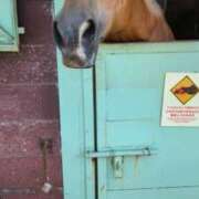 ヒメ日記 2025/11/01 16:29 投稿 ともえ 鶯谷おかあさん