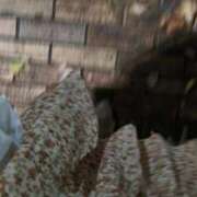 ヒメ日記 2025/11/01 18:49 投稿 ともえ 鶯谷おかあさん