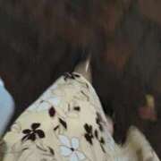 ヒメ日記 2025/11/02 18:19 投稿 ともえ 鶯谷おかあさん