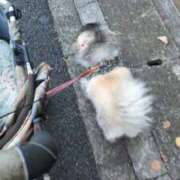 ヒメ日記 2025/11/03 06:39 投稿 ともえ 鶯谷おかあさん