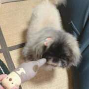 ヒメ日記 2025/11/09 06:39 投稿 ともえ 鶯谷おかあさん