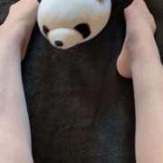 ヒメ日記 2025/11/14 12:29 投稿 ともえ 鶯谷おかあさん