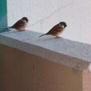 ヒメ日記 2025/11/19 06:39 投稿 ともえ 鶯谷おかあさん