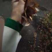 ヒメ日記 2025/11/22 20:19 投稿 ともえ 鶯谷おかあさん