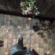 ヒメ日記 2025/11/23 18:29 投稿 ともえ 鶯谷おかあさん