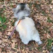 ヒメ日記 2025/12/02 14:59 投稿 ともえ 鶯谷おかあさん