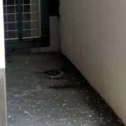 ともえ おはようございます😊✨ 鶯谷おかあさん