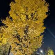 ヒメ日記 2025/12/07 06:57 投稿 ともえ 鶯谷おかあさん