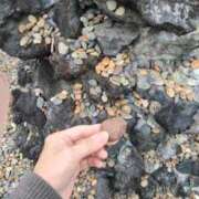 ヒメ日記 2025/12/12 06:49 投稿 ともえ 鶯谷おかあさん