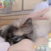 ヒメ日記 2025/12/14 07:29 投稿 ともえ 鶯谷おかあさん