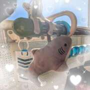 ヒメ日記 2025/12/16 10:31 投稿 ともえ 鶯谷おかあさん