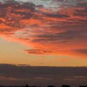 ヒメ日記 2025/12/20 06:59 投稿 ともえ 鶯谷おかあさん