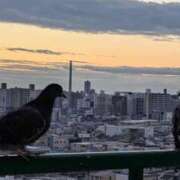 ヒメ日記 2025/12/29 06:53 投稿 ともえ 鶯谷おかあさん