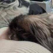 ヒメ日記 2026/01/15 16:39 投稿 ともえ 鶯谷おかあさん