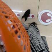 ヒメ日記 2026/01/21 19:41 投稿 ともえ 鶯谷おかあさん