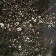 ヒメ日記 2026/02/02 18:29 投稿 ともえ 鶯谷おかあさん