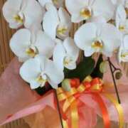 ヒメ日記 2026/02/06 06:39 投稿 ともえ 鶯谷おかあさん