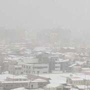 ヒメ日記 2026/02/08 06:49 投稿 ともえ 鶯谷おかあさん