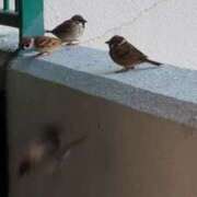 ヒメ日記 2026/02/10 06:49 投稿 ともえ 鶯谷おかあさん