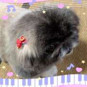 ヒメ日記 2026/02/13 05:58 投稿 ともえ 鶯谷おかあさん