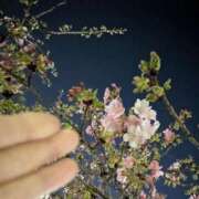 ヒメ日記 2026/02/13 19:29 投稿 ともえ 鶯谷おかあさん