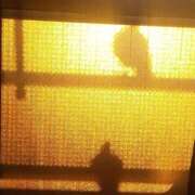 ヒメ日記 2026/02/15 06:45 投稿 ともえ 鶯谷おかあさん