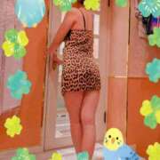 ヒメ日記 2026/02/22 20:49 投稿 ともえ 鶯谷おかあさん