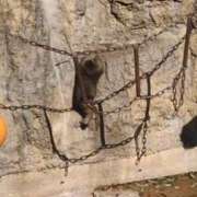 ヒメ日記 2026/03/05 14:29 投稿 ともえ 鶯谷おかあさん