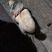 ヒメ日記 2026/03/15 19:29 投稿 ともえ 鶯谷おかあさん