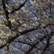 ヒメ日記 2026/03/27 18:49 投稿 ともえ 鶯谷おかあさん