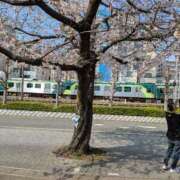 ヒメ日記 2026/03/29 15:33 投稿 ともえ 鶯谷おかあさん