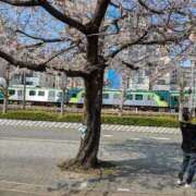 ヒメ日記 2026/03/29 15:49 投稿 ともえ 鶯谷おかあさん