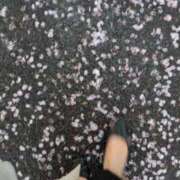 ヒメ日記 2026/04/01 18:09 投稿 ともえ 鶯谷おかあさん