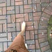 ヒメ日記 2026/04/04 18:09 投稿 ともえ 鶯谷おかあさん